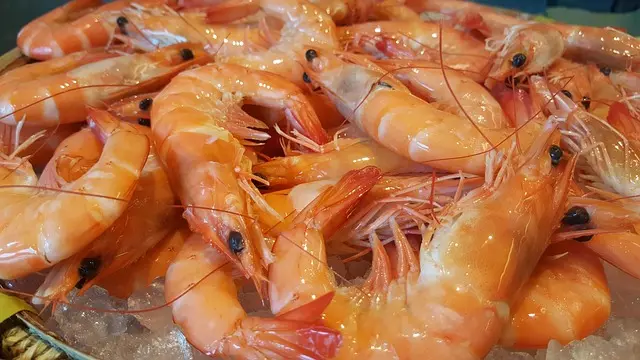 Eventos Gastronómicos Saludables: Guía Completa