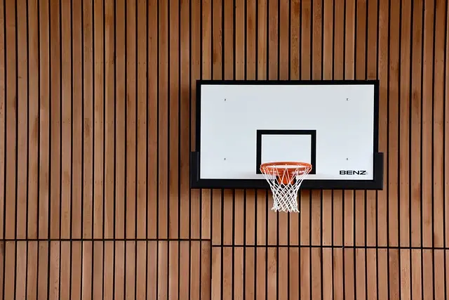 Ultimate Guide to the Best Basketball Visors