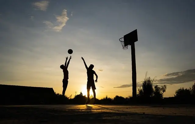 Best Basketball Hoop Systems for Home