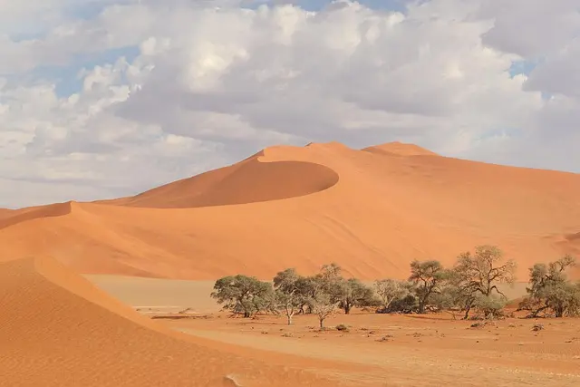 Guide d'Achat : Installation d'une Antenne WiFi